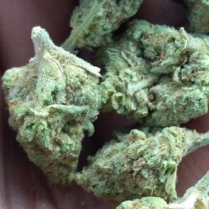 Meet your Posher, Cedric